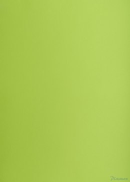 Karton kolorowy Creatinio B2 225g 25ark nr.66 j.zielony 400150337 TOP-2000