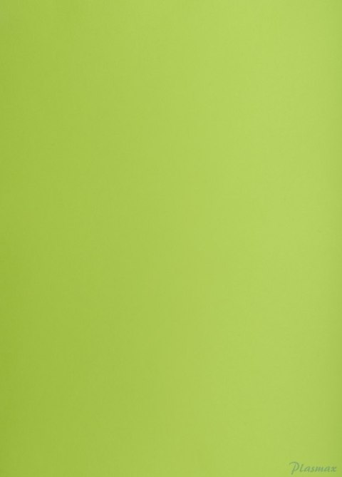 Karton kolorowy Creatinio B2 225g 25ark nr.66 j.zielony 400150337 TOP-2000