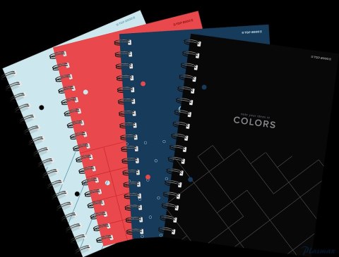 Kołozeszyt TOP COLORS 2SPI A5 80K 70G kratka mix 400169232 Top 2000