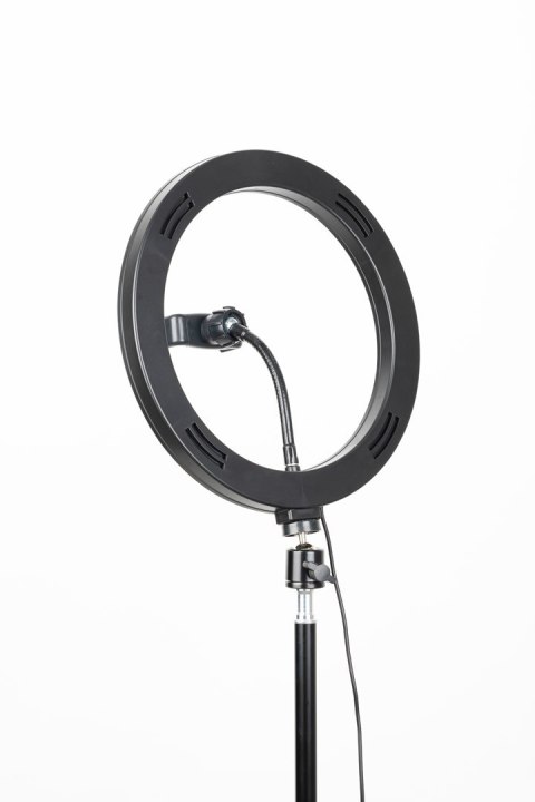 Tripod Havit ST7012 Pro z pierścieniem świetlnym