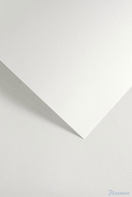 Karton ozdobny SAWANNA biały (20) 200g/m2 204801 ARGO