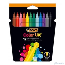 Flamastry BIC Intensity Up 12 kol. , 978004