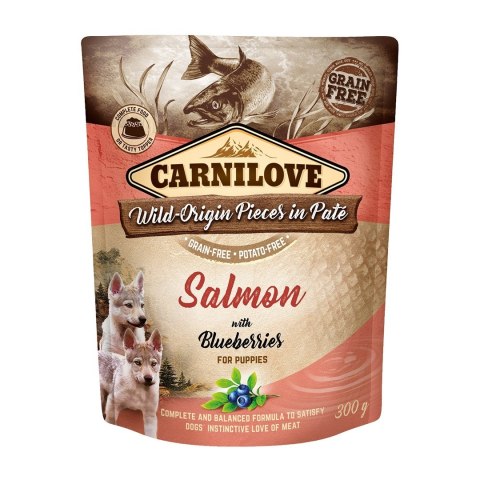 CARNILOVE DOG POUCH SALMON&BLUEBERRIES PUPPIES 300G