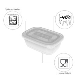 Rotho Freeze zestaw pojemników do mrożenia 3 x 1l