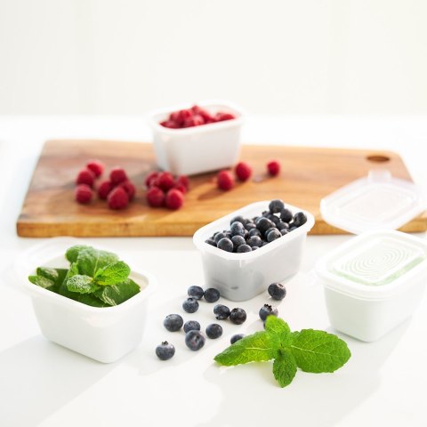 Rotho Freeze zestaw pojemników do mrożenia 3 x 1l