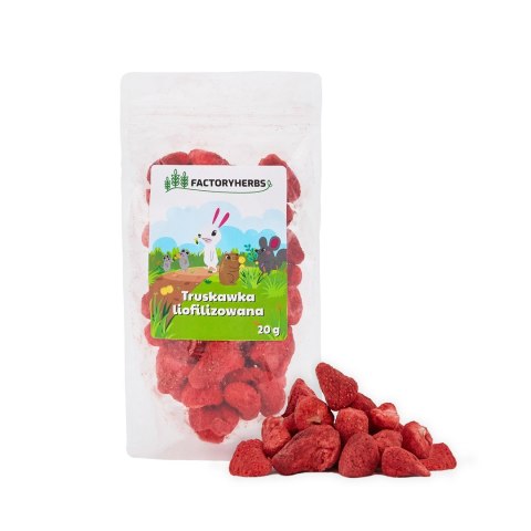 FACTORYHERBS Truskawka liofilizowana 20g