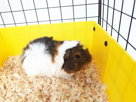 Klatka modułowa C&C 3x2 + Loft 2x1+ Rampa czarna