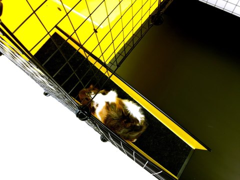 Klatka modułowa C&C 3x2 + Loft 2x1+ Rampa czarna