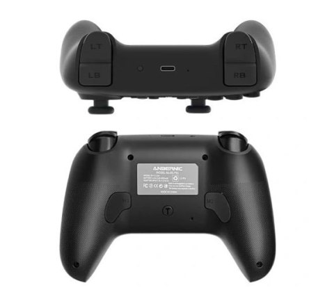 Gamepad ANBERNIC P01 Black
