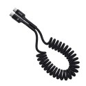 Kabel Baseus Fish-Eye Typ C-Typ C 100W 1m (czarny)