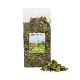 FACTORYHERBS Ziele topinamburu 100g