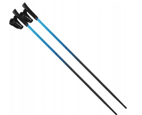 Kije Viking PRO-TRAINER blue 115