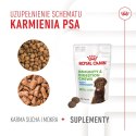 ROYAL CANIN Immunity&Digestion Supplements 100g