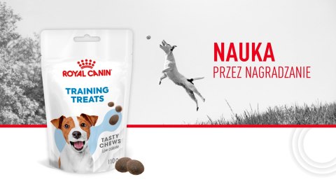 ROYAL CANIN Training Treat Dog 110g