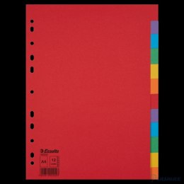 Przekładki karton A4 12 kart ESSELTE 100202 kolorowe bez karty opisowej