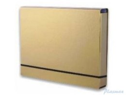Teczka-BOX A4 Lux na gumkę 4.5cm złota TT6759 (X)