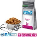 FARMINA Vet Life Struvite Feline - sucha karma dla kota - 2kg