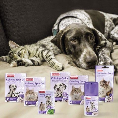 Spray łagodzący problemy behawioralne u kotów 125 ml