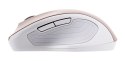 Mysz Asus Silent Wireless Mouse Gold MW202 bezprzewodowa złota