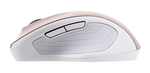 Mysz Asus Silent Wireless Mouse Gold MW202 bezprzewodowa złota