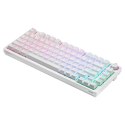 SAVIO KLAWIATURA MECHANICZNA BEZPRZEWODOWA PHENIX WHITE GATERON RED PRO ABS