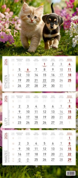 Kalendarz trójdzielny ekonomiczny KS045B PRZYJACIELE 2026 WOKÓŁ NAS