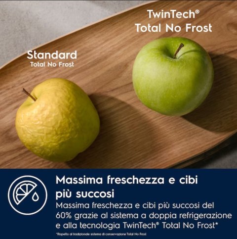 Chłodziarko-zamrażarka ELECTROLUX LNT6NE18S