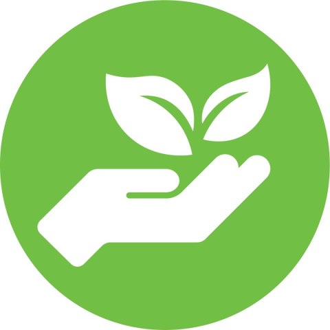 DYMO LW - Duze etykiety adresowe - 36 x 89 mm - S0722410