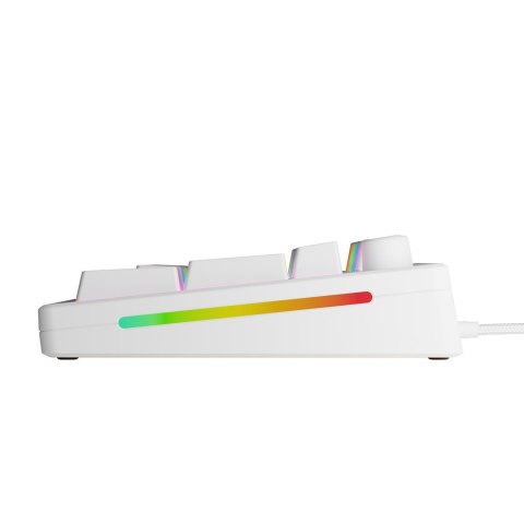 Glorious Gaming GMMK 3 HE 100% Prebuilt klawiatura USB QWERTY US English Biały