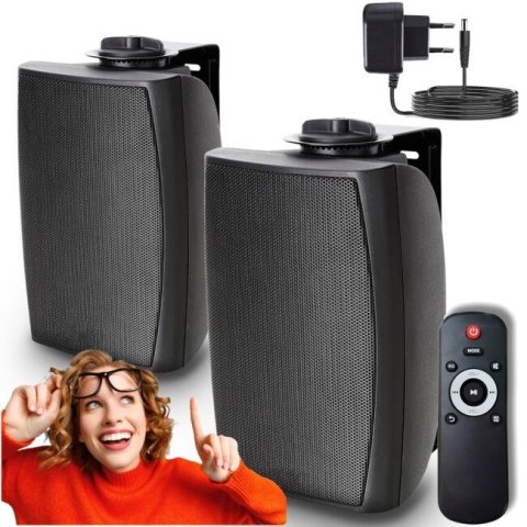 Kolumna głośnikowa ścienna sufitowa inst