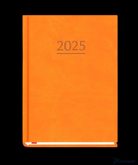 Terminarz OLA A6 2025 - pomarańczowy Michalczyk i Prokop T-212V-P