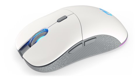 Mysz ENDORFY GEM Plus Wireless Onyx White
